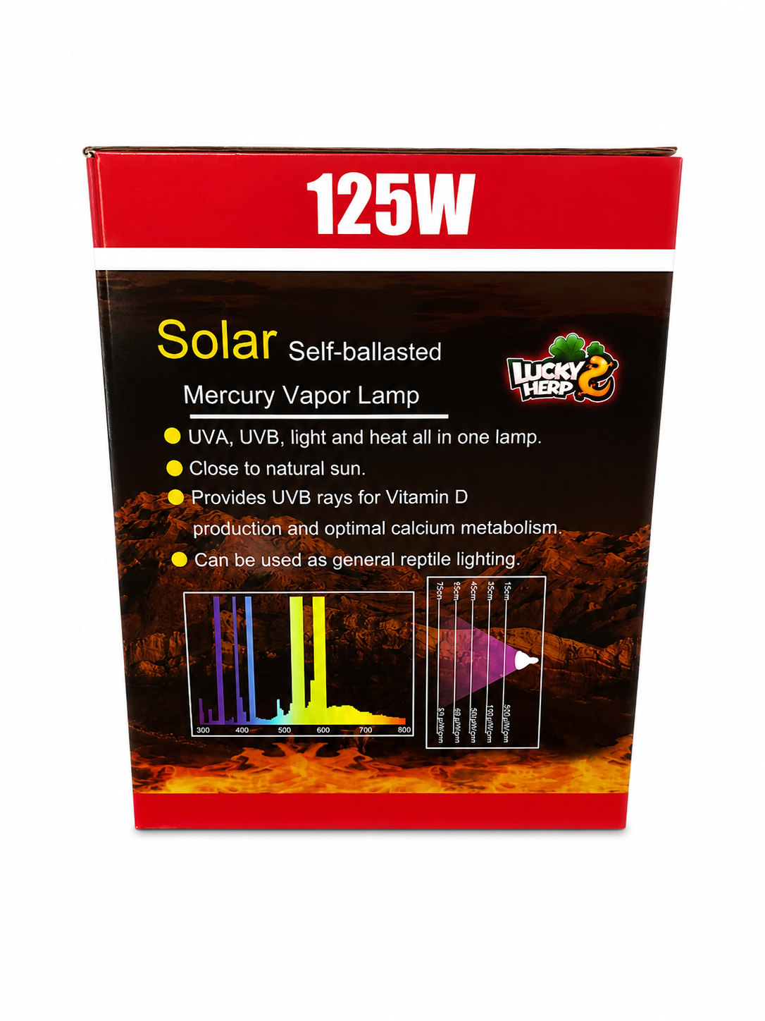Mercury Vapour Bulb 125W