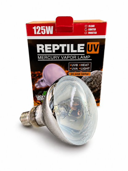 Mercury Vapour Bulb 125W