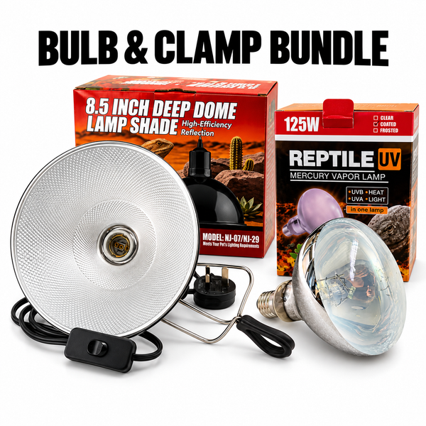 Bulb & Clamp Bundle