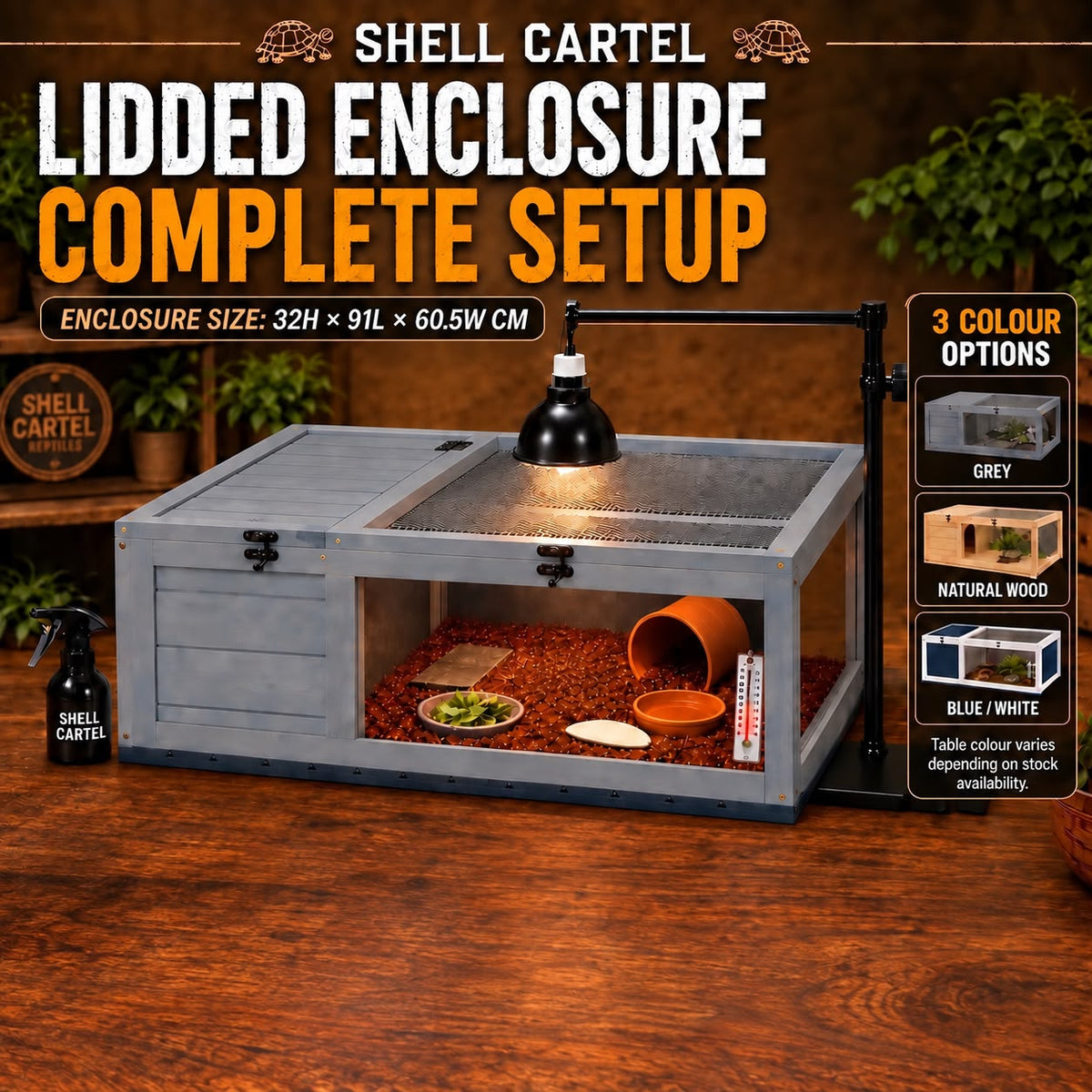 Lidded tortoise table starter setup