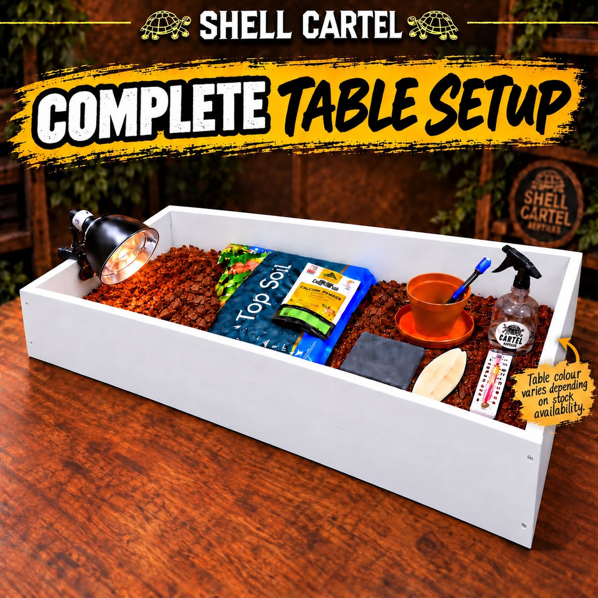Open tortoise table starter setup